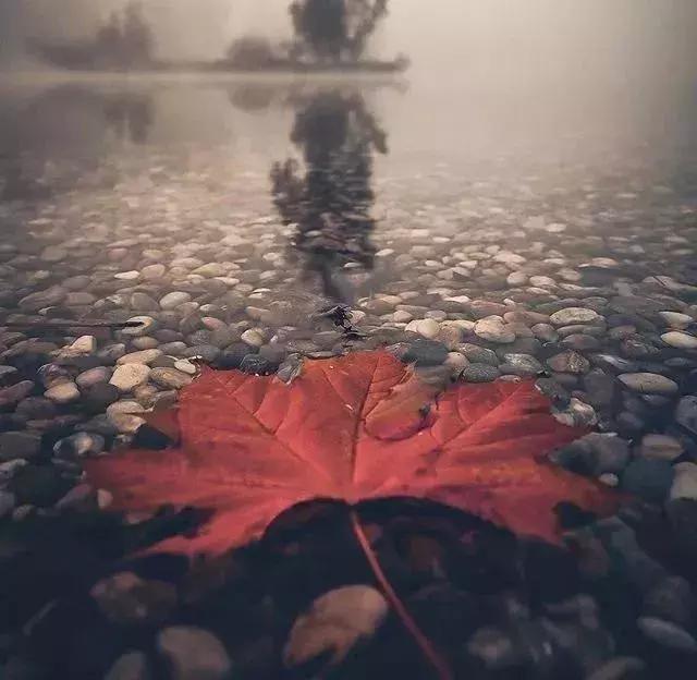 別活得太累，別把自己愧對！