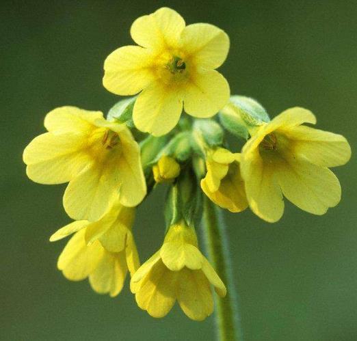 做人要懂得：沒有本事，少談公平