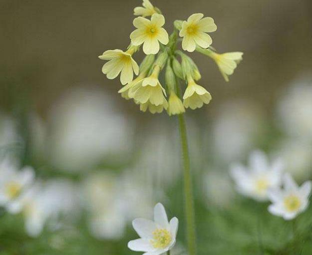 做人要懂得：沒有本事，少談公平