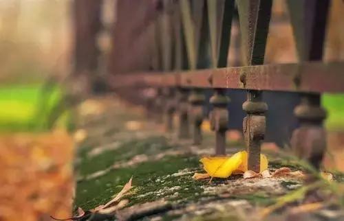 你以為，你是誰？