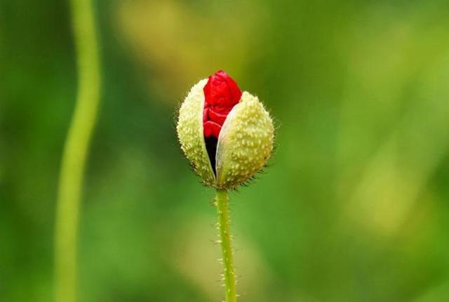人生的三大荒唐事，件件揪心