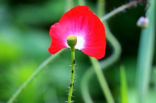 人生的三大荒唐事，件件揪心