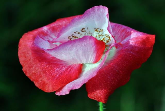 人生的三大荒唐事，件件揪心