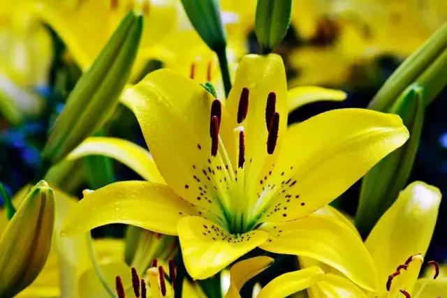 人生得一知己，足矣！