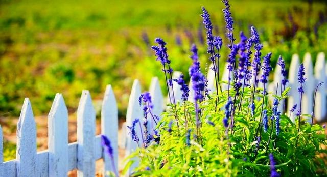 不抱怨，才能獲得生命的尊嚴和生活的信心