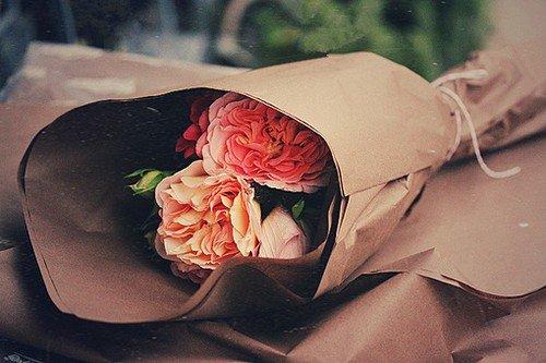 精彩的句子：一次挫折也荒廢不了整個人生