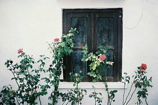 精彩的句子：一次挫折也荒廢不了整個人生