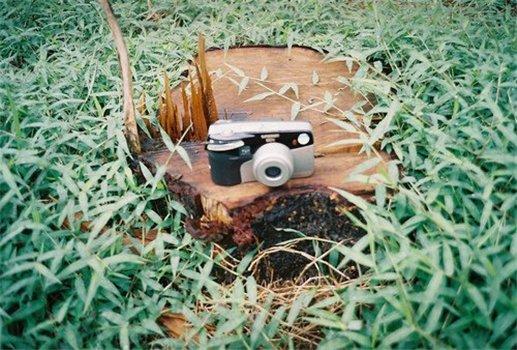 精彩的句子：一次挫折也荒廢不了整個人生