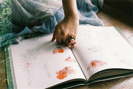 精彩的句子：一次挫折也荒廢不了整個人生