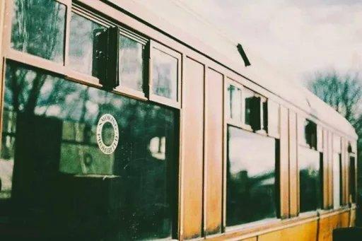 精彩的句子：一次挫折也荒廢不了整個人生