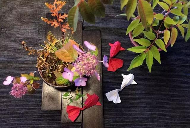 野草盆景也很美