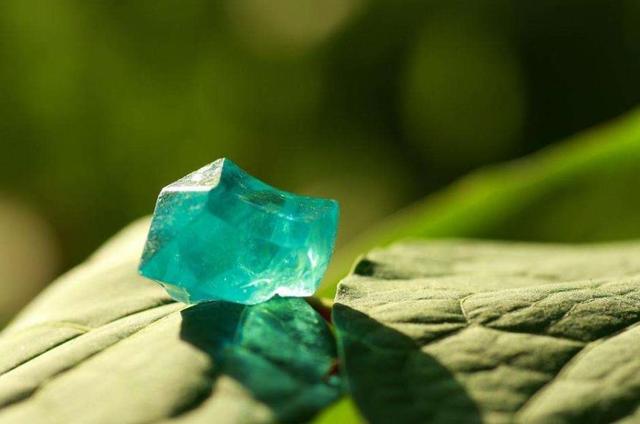 做人太強悍，好景不常在