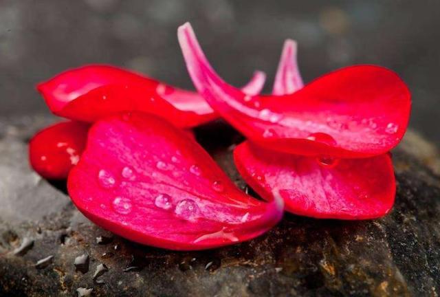 做人太強悍，好景不常在