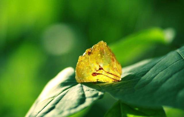 做人太強悍，好景不常在