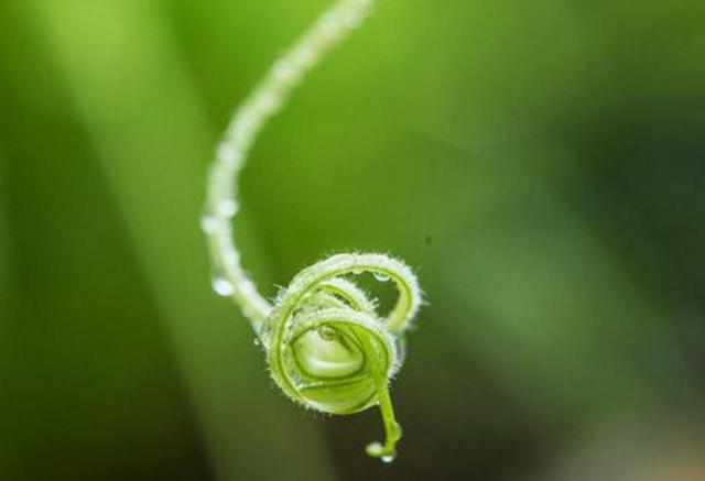 人活著，千萬別失去這三樣東西，否則再努力也沒有用