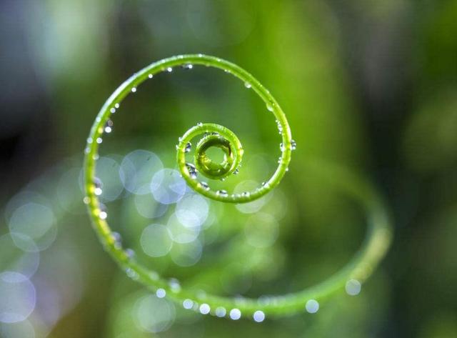 人活著，千萬別失去這三樣東西，否則再努力也沒有用