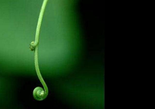 人活著，千萬別失去這三樣東西，否則再努力也沒有用