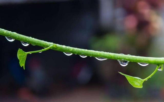 人活著，千萬別失去這三樣東西，否則再努力也沒有用