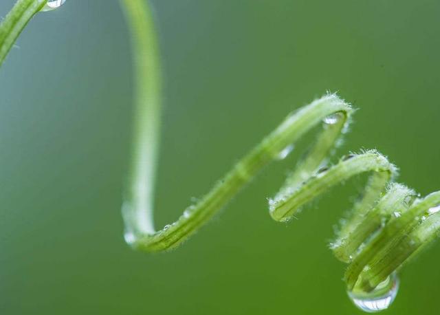 人活著，千萬別失去這三樣東西，否則再努力也沒有用