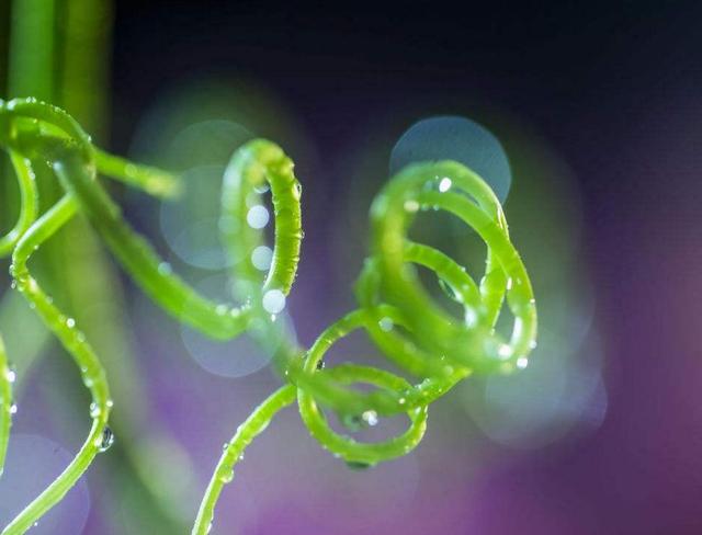 人活著，千萬別失去這三樣東西，否則再努力也沒有用