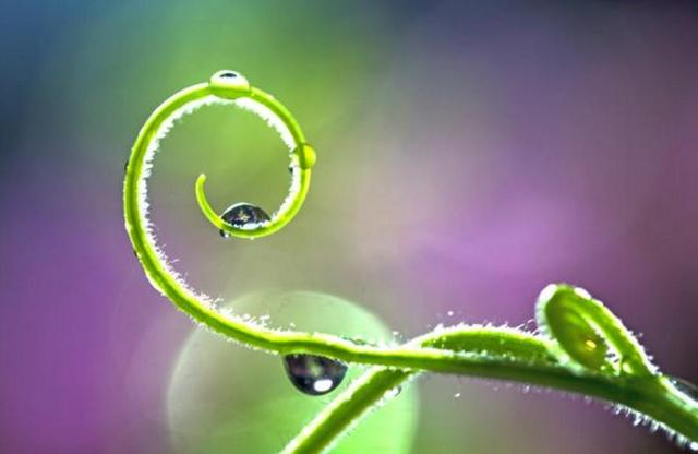 人活著，千萬別失去這三樣東西，否則再努力也沒有用