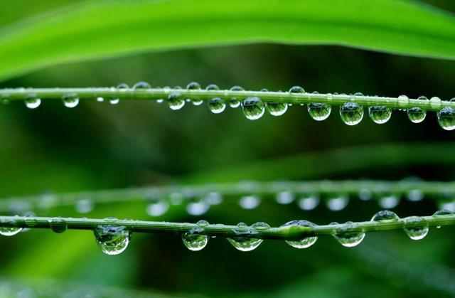 人活著，千萬別失去這三樣東西，否則再努力也沒有用