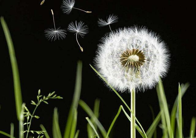 和這四種“歪心思”的人接觸，無情一點才是王道