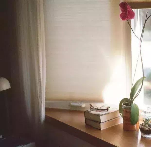 善忘不是沒心沒肺，而是人生智慧