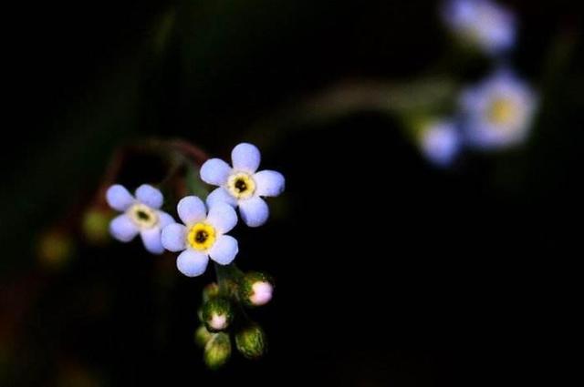 人生路，這幾步，一定要算數