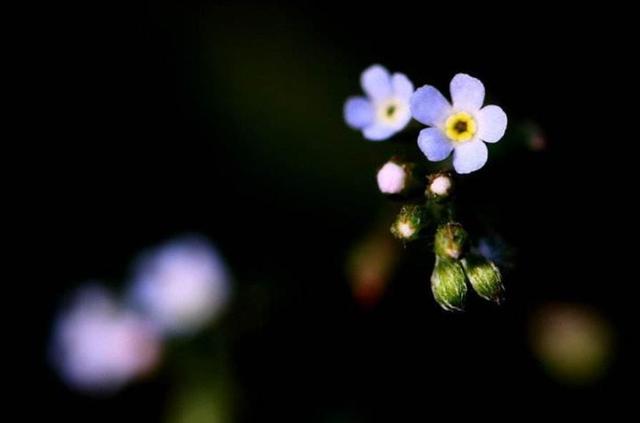 人生路，這幾步，一定要算數