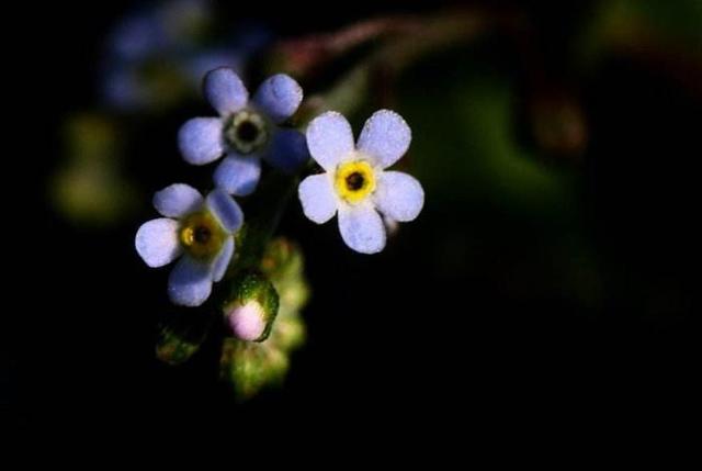 人生路，這幾步，一定要算數