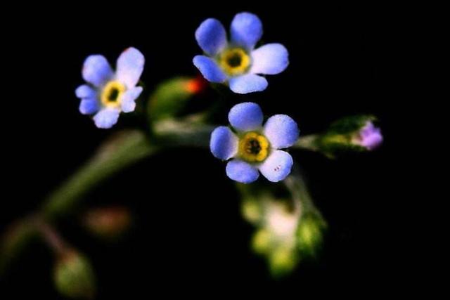 人生路，這幾步，一定要算數