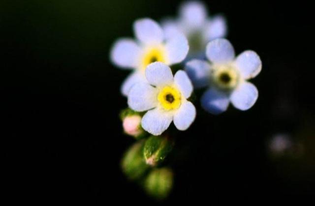 人生路，這幾步，一定要算數