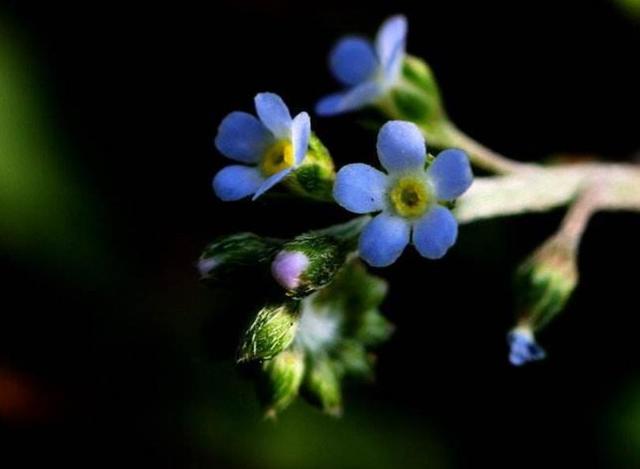 人生路，這幾步，一定要算數