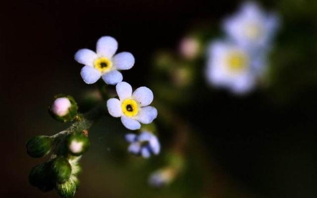 人生路，這幾步，一定要算數