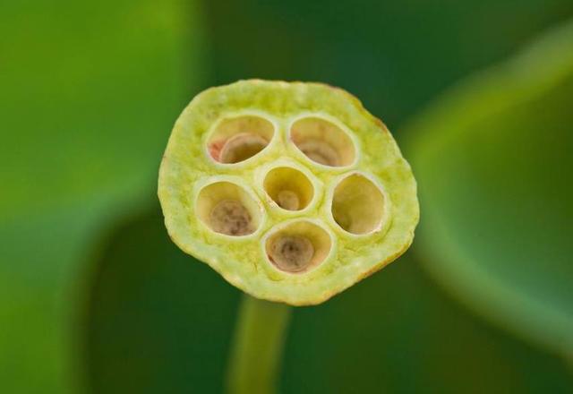 人心隔肚皮，留點心眼給自己