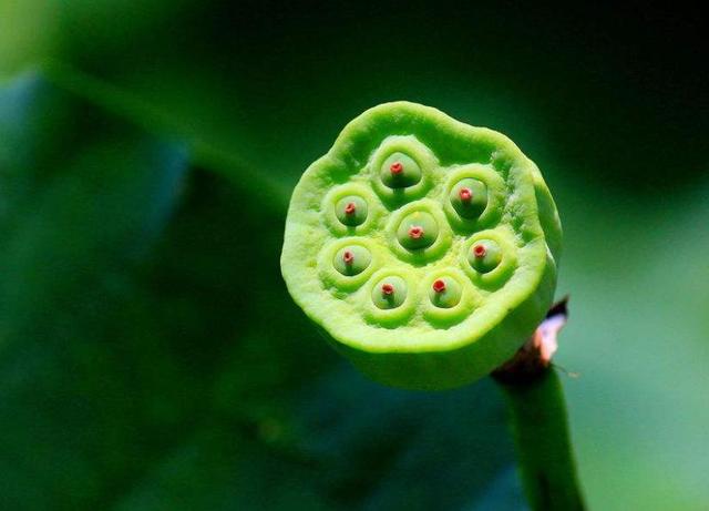 人心隔肚皮，留點心眼給自己