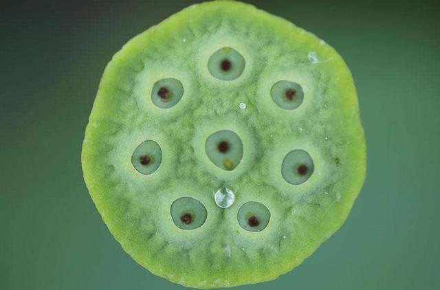 人心隔肚皮，留點心眼給自己