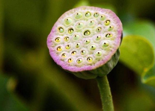 人心隔肚皮，留點心眼給自己