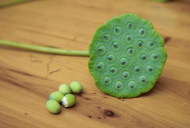 人心隔肚皮，留點心眼給自己