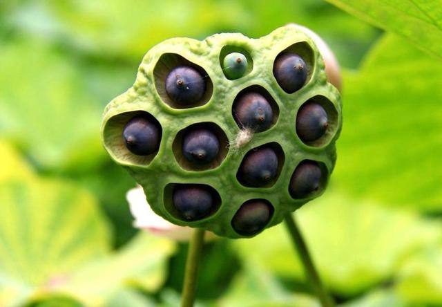 人心隔肚皮，留點心眼給自己