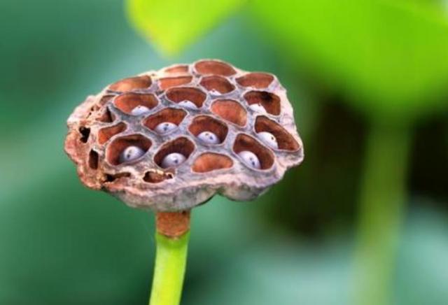 人心隔肚皮，留點心眼給自己