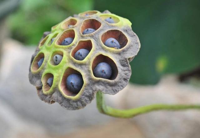 人心隔肚皮，留點心眼給自己