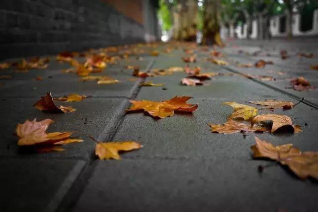 你有賺一億的慾望,卻只有一天的耐心(創業好文)