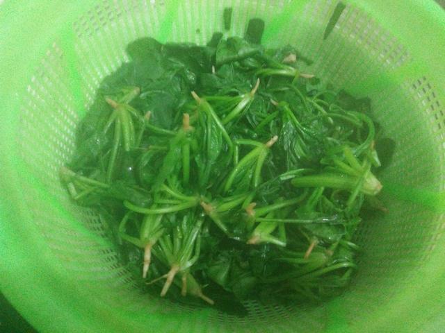 女人要想皮膚好，光抹護膚品可不行，拌菜這樣吃，補鐵潤腸還美容