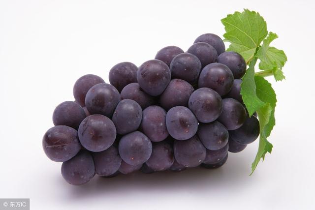 滋陰潤燥，止渴潤肺，冬季吃這四種水果功效翻倍！