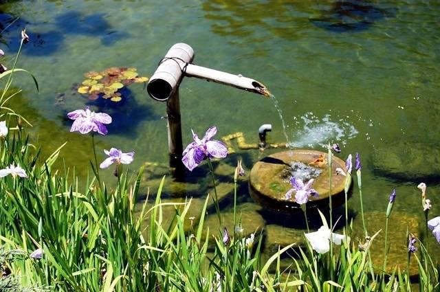 一塊拙石，一處水景，一隅禪意