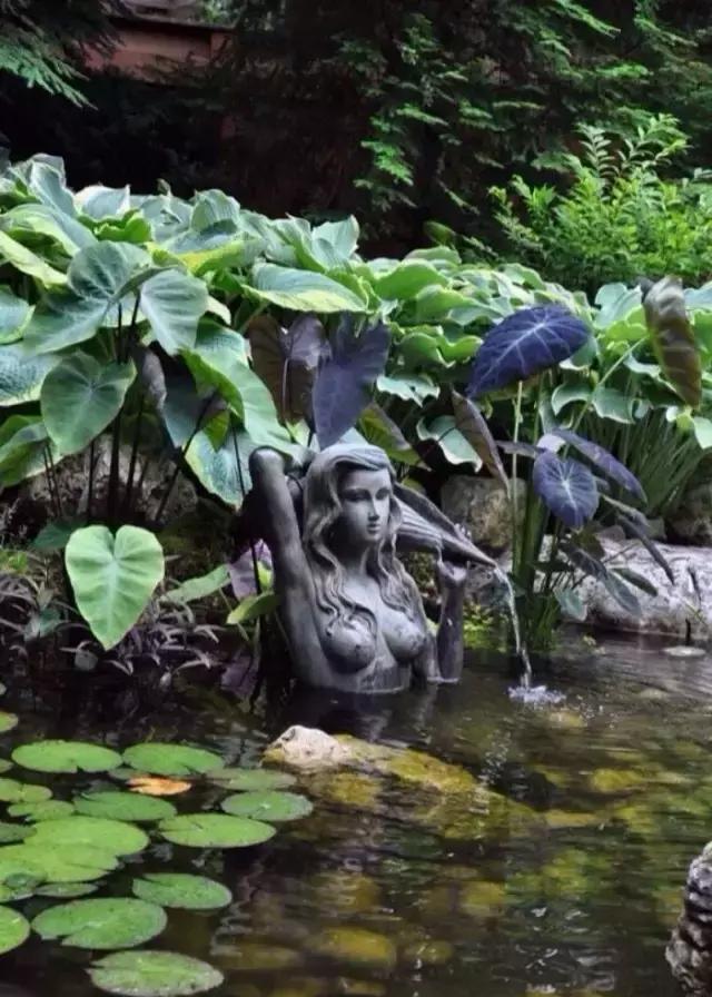 一塊拙石，一處水景，一隅禪意