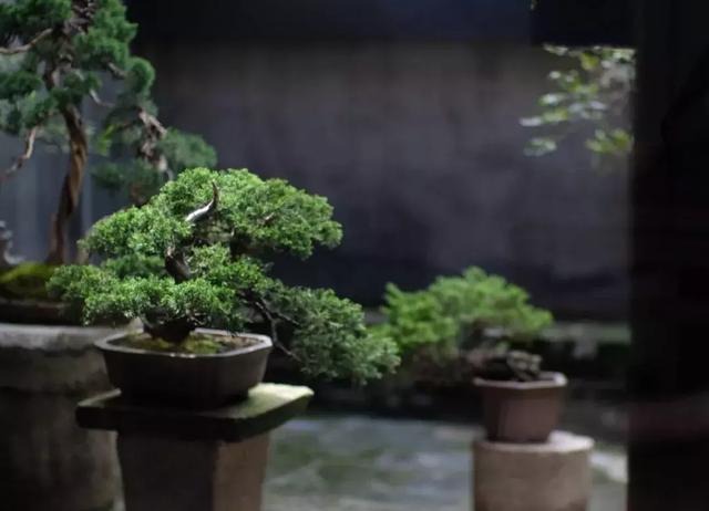 有實力的人,往往不動聲色! (深度好文)