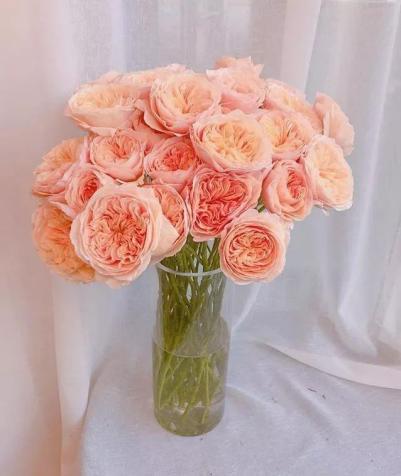 插花也是需要技巧的！